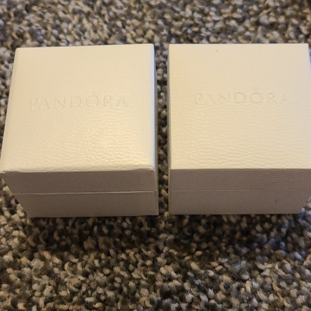 2 Pandora charm boxes